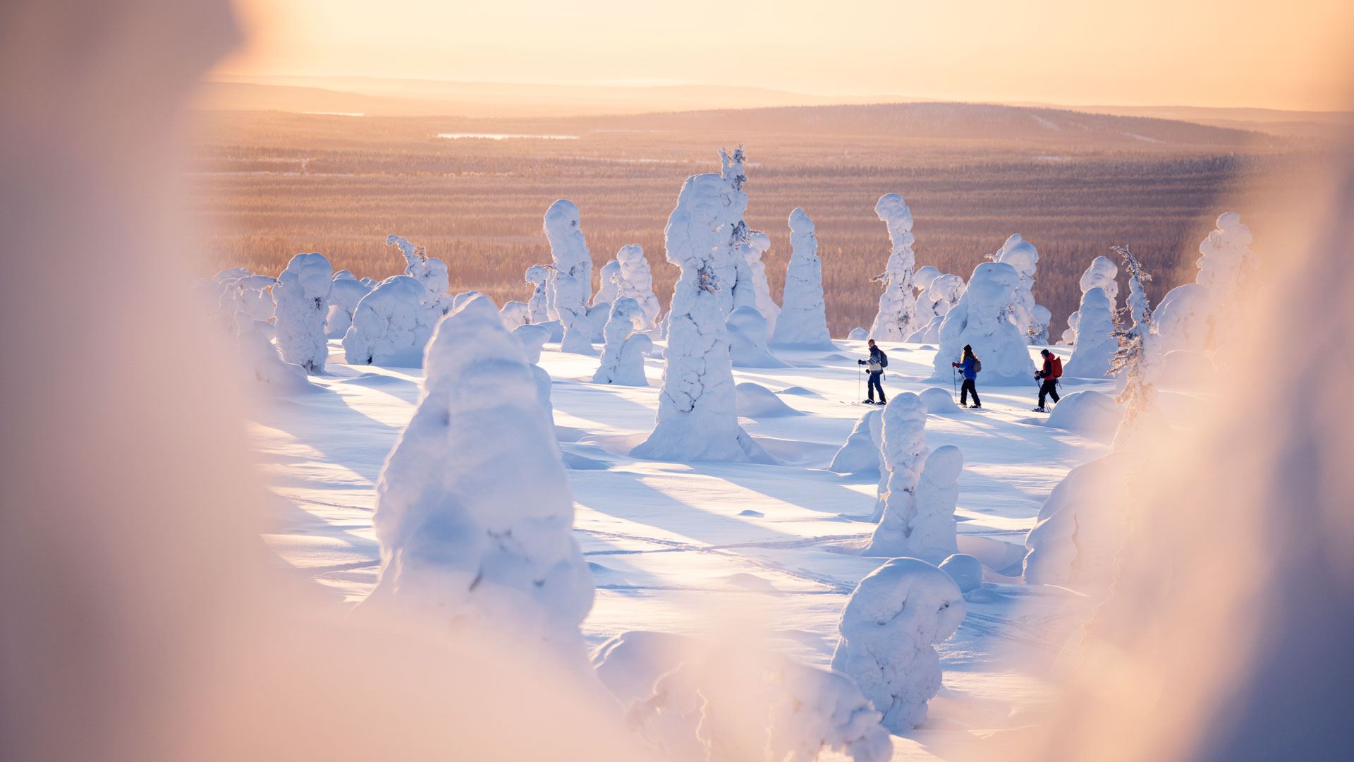 rukakuusamo_riisitunturi_outdoorapssionfinland_harritarvainen_1920x1080.jpg