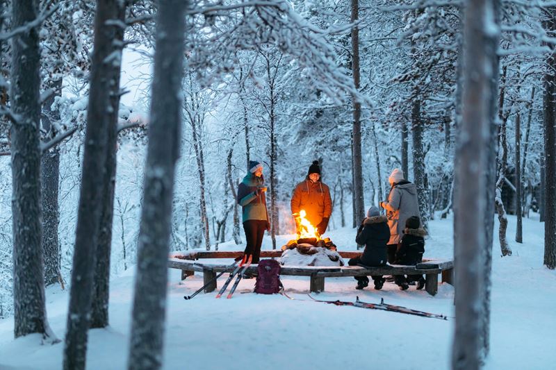 lapland_north_winter_openfire_snow_forest.jpg