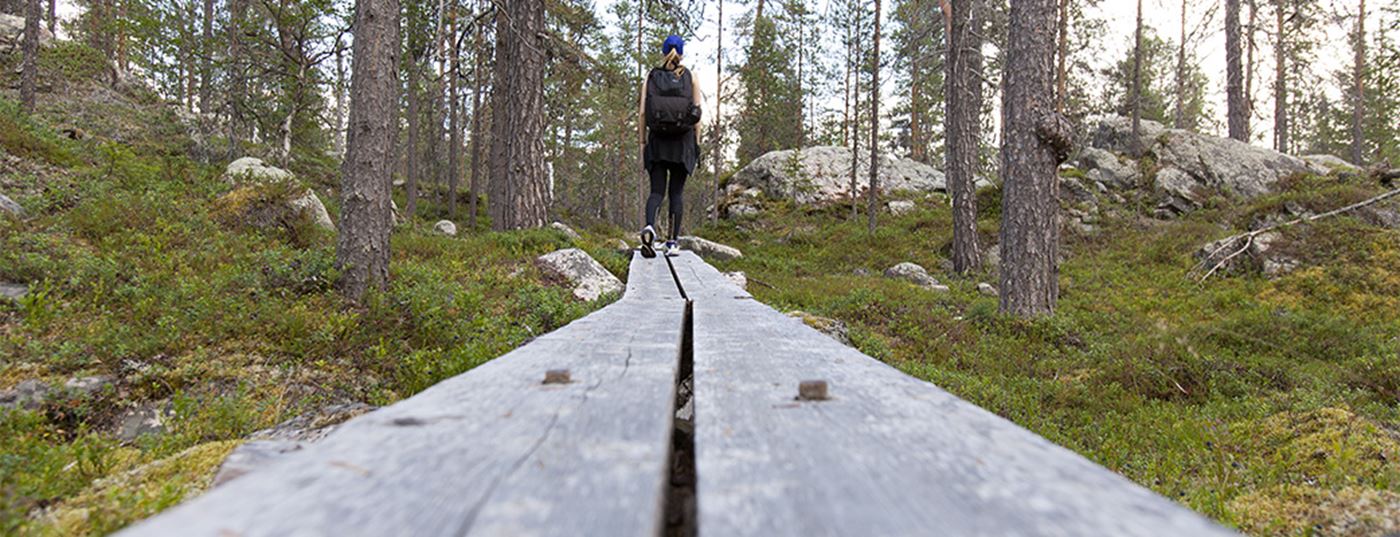 yllas_kesa3_1042x400.jpg